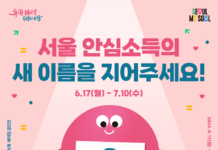 `서울 안심소득 새이름을 지어주세요!`…시민이 뽑는 공모전 개최